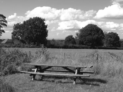 View from Blueberry Wood